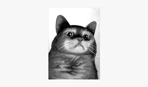 a gray cat looking like a character from pathetic meme